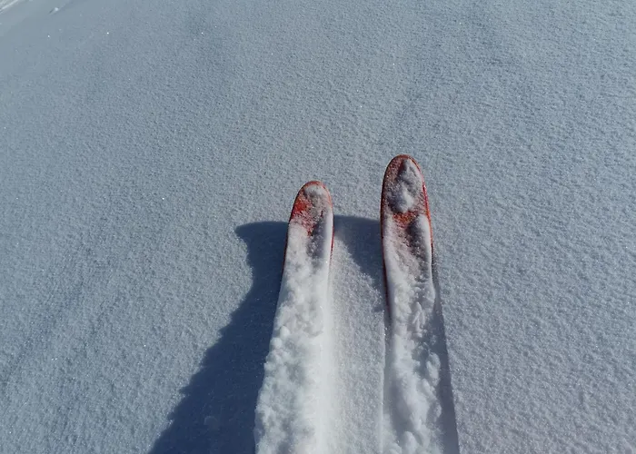 公寓 Eskival Skis Aux Pieds